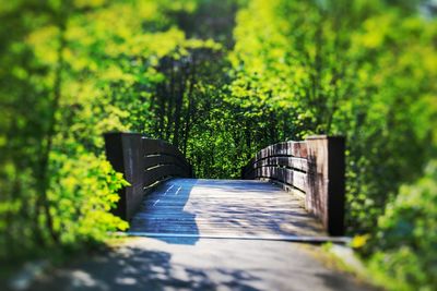 Walkway leading to wooden footbridge