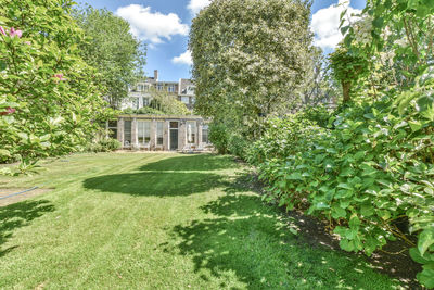 Trees and plants growing in yard of building