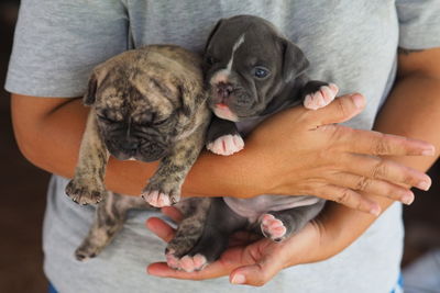 Midsection of woman with puppy