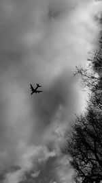 Low angle view of airplane flying in sky