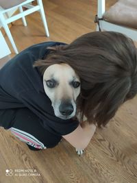 High angle portrait of dog on hardwood floor