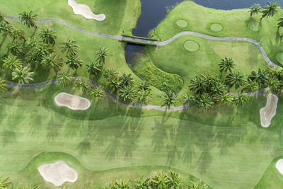 Aerial view of golf course