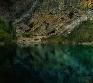 Reflection of trees in river