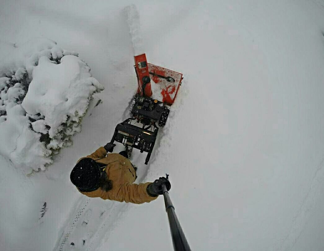 LOW ANGLE VIEW OF TREES