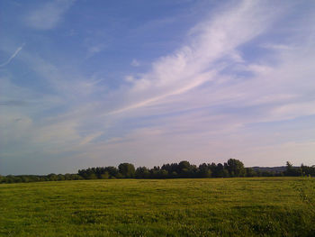 Scenic view of grassy field against sky