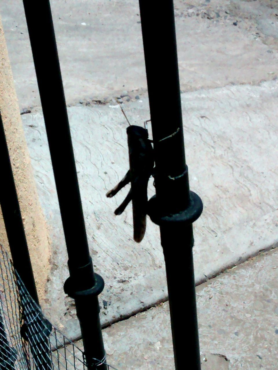 metal, indoors, built structure, high angle view, metallic, shadow, day, pipe - tube, architecture, close-up, sunlight, protection, black color, no people, safety, rusty, railing, old, wall - building feature