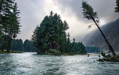 Scenic view of river by trees against sky