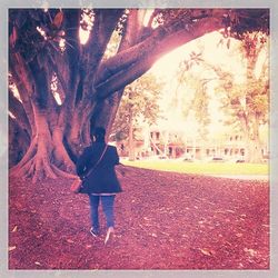 Woman standing on tree trunk