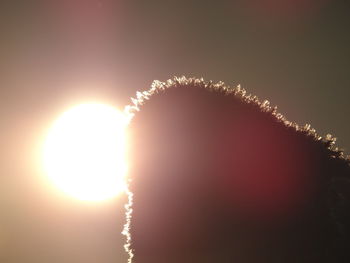 Low angle view of sun shining through trees