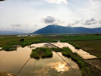 Scenic view of agricultural field against sky