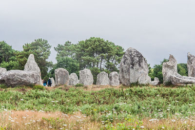 Rocks by trees on field against clear sky