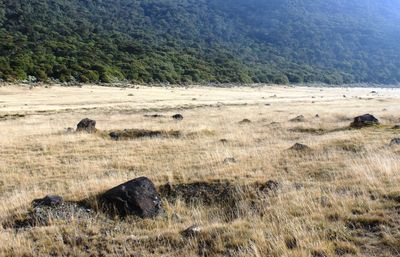 Scenic view of landscape against sky
