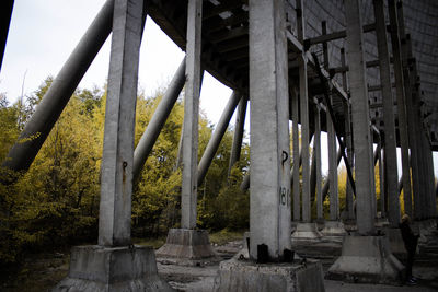 Columns in old building