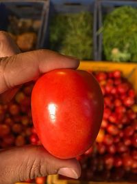 Close-up of hand holding red tomato