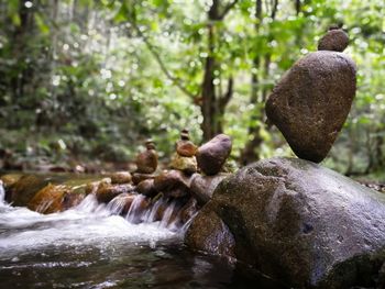 Scenic view of rocks in forest