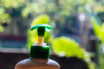 Close-up of multi colored bottle