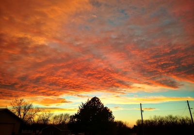 Low angle view of silhouette trees against dramatic sky