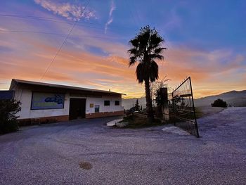 Palm trees by sea against sky at sunset