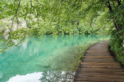 Scenic view of lake with trees in background