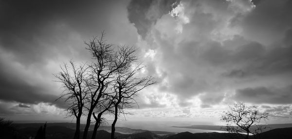 Silhouette bare tree against cloudy sky