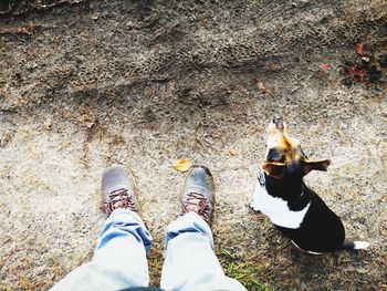 Low section of person standing on floor