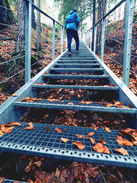 Rear view of man walking on staircase