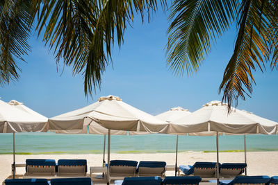 Palm trees on beach against clear sky