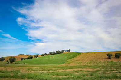 Scenic view of farm against sky