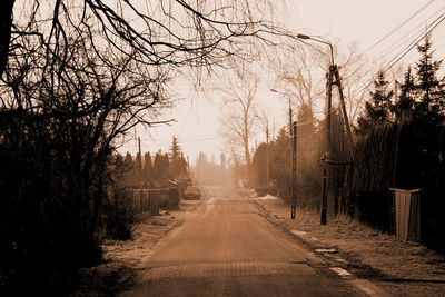 Road passing through bare trees