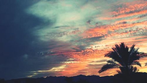 Silhouette trees against dramatic sky during sunset