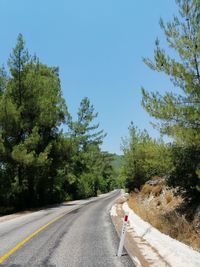 Road amidst trees against sky