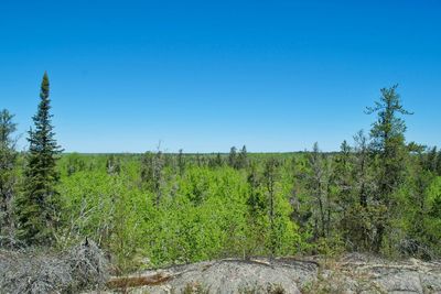Scenic view of field against clear blue sky