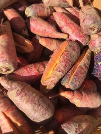Close-up of fresh leaves