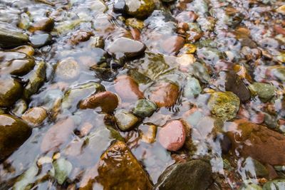 High angle view of pebbles in water