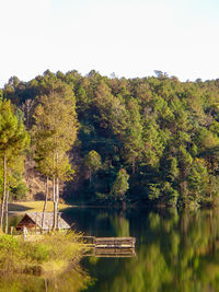 Scenic view of lake in forest against clear sky