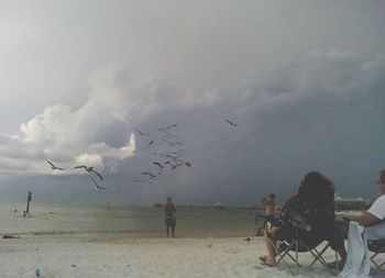 Birds on cloudy sky