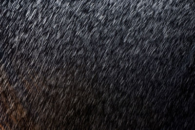 Full frame shot of raindrops on black background