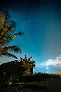 Low angle view of silhouette trees against sky at night