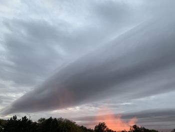 Low angle view of trees against dramatic sky