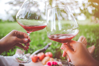 Cropped hands of women toasting red wineglasses in park