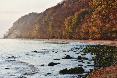 Autumn landscape at baltic sea in poland