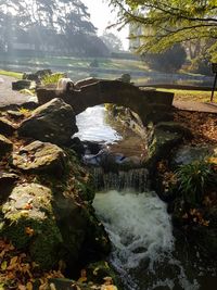 Stream flowing through rocks in forest