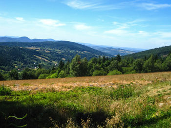 Scenic view of landscape against sky