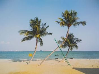 Coconut palm trees at beach against clear sky