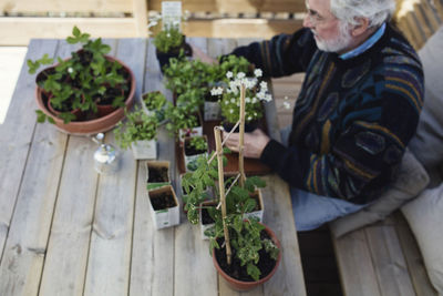 High angle view of senior man with potted plants at table in yard