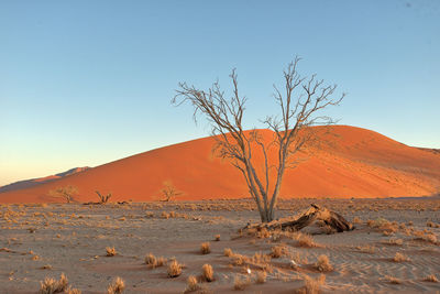 Scenic view of desert against clear sky