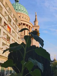 Low angle view of statue of building