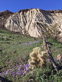 Scenic view of field against cloudy sky