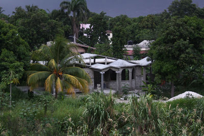 View of houses and trees