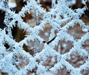 Full frame shot of snowflakes